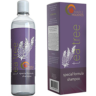 Tea Tree Special Formula Shampoo By Maple Holistics