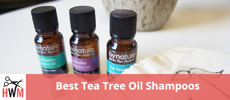 Best Tea Tree Oil Shampoos of 2019
