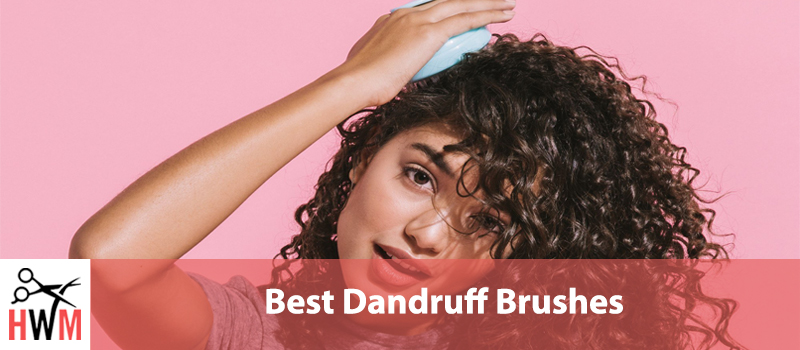 10 Best Anti-Dandruff Scalp Brushes of 2019