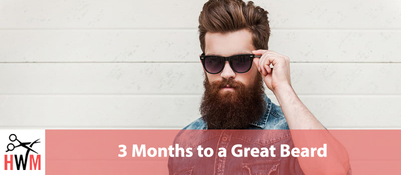 3 Months to a Great Beard: Grow a Beard Fast