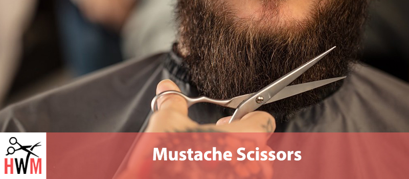 10 Best Mustache Scissors of 2019