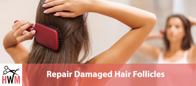 Repair Damaged Hair Follicles