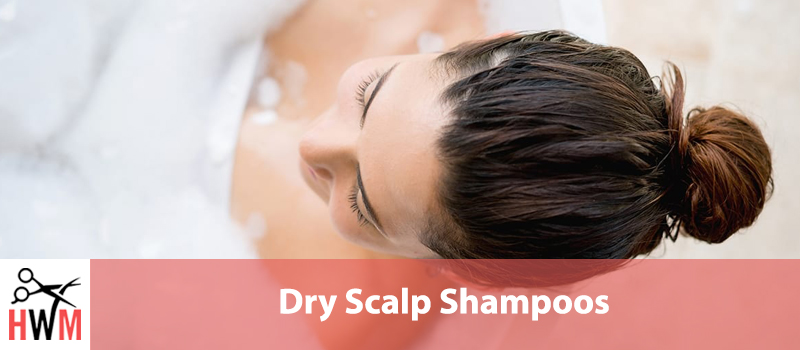 10 Best Shampoos for Dry Scalps