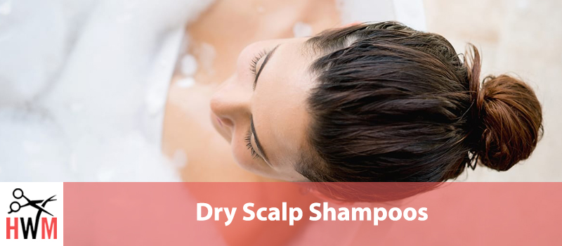 Best Shampoos for Dry Scalp