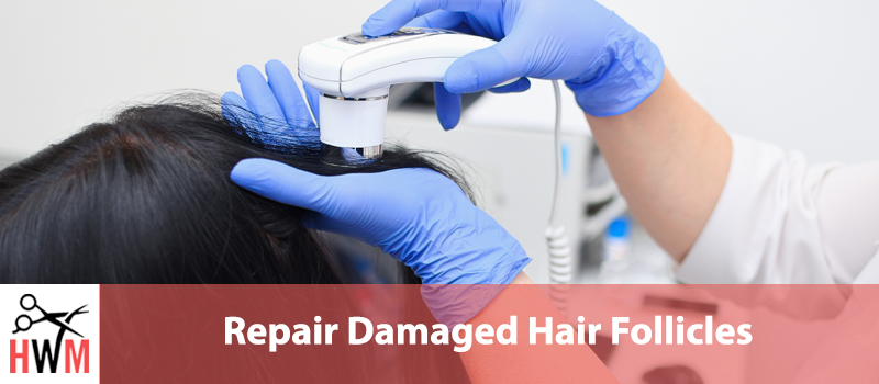 Repairing Damaged Hair Follicles: Treatment Options