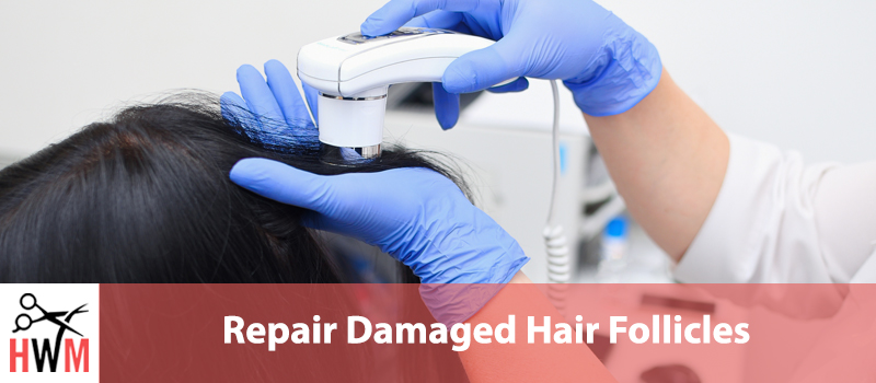 Repair Damaged Hair Follicles