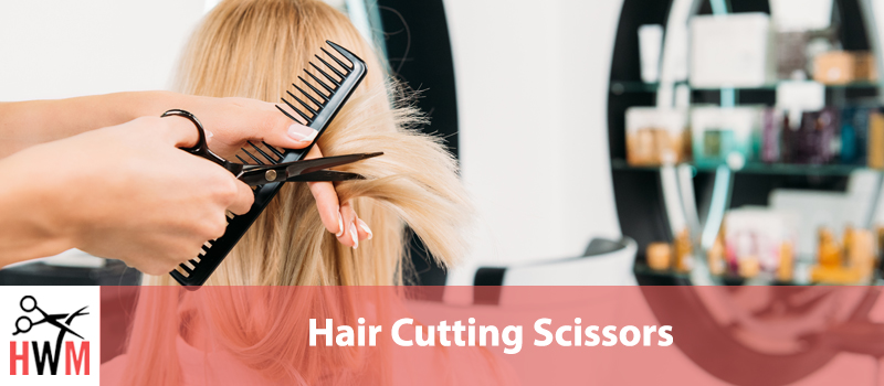 Best Scissors for Cutting Hair