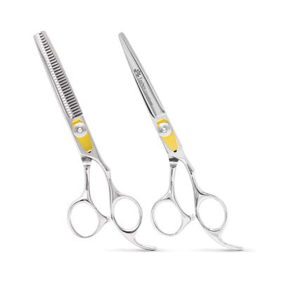 best hair stylist scissors