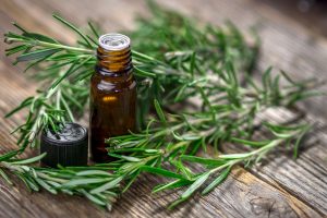 Rosemary Oil