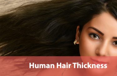 thickness-of-Human-Hair