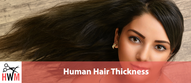 a human hair has the diameter of about