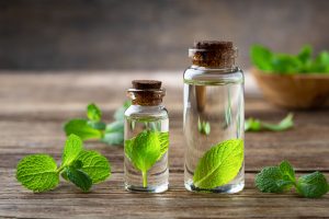 Mint Oils